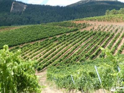 El Bierzo - Castilla y León; gredos senderismo excursiones a pie senderismo picos europa excursiones